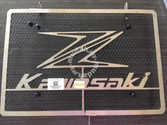 Kawasaki Z800 Radiator Cover