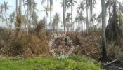 5 Acres Mixed Development Land Beside Mainroad at Butterworth Area